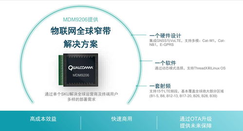 融合供需雙方力量，兩巨頭全方位推進低功耗物聯網大規模應用落地